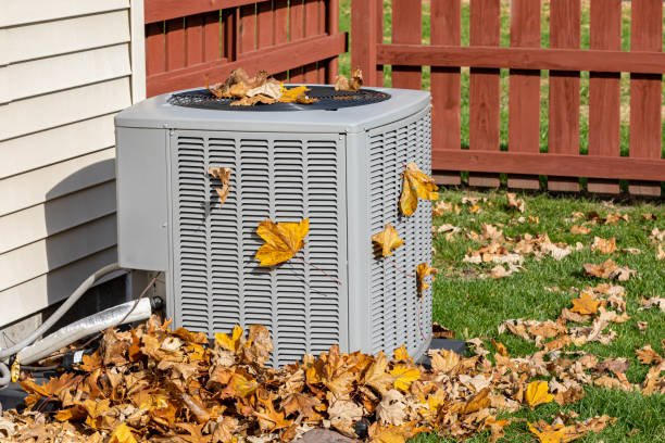 Best Air Filters and Purifiers in Daleville, IN